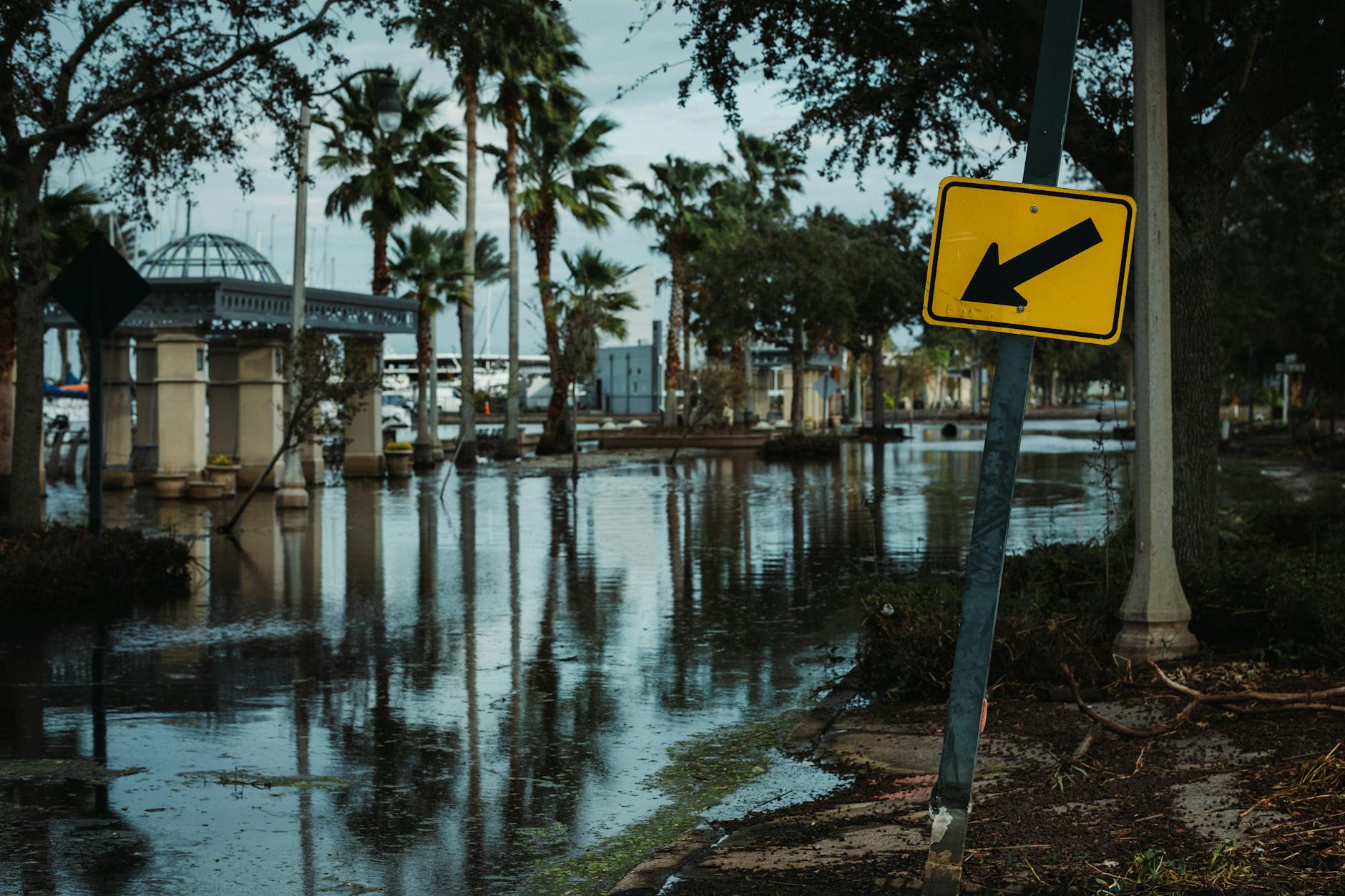 Street view of a flooded road lined with palm trees and a leaning traffic sign, reflecting urban flooding.