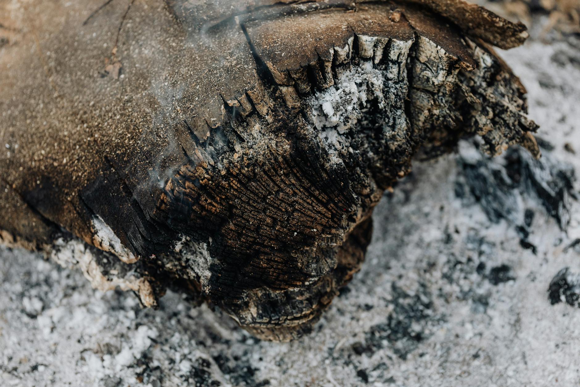 Detailed view of a burnt log with visible ash and smoke, showing rich textures.