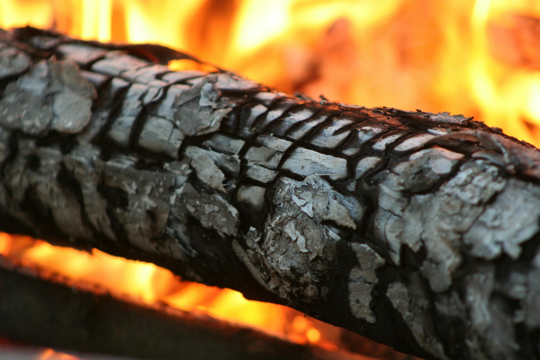 Detailed close-up of a burning log with glowing embers and ashes.