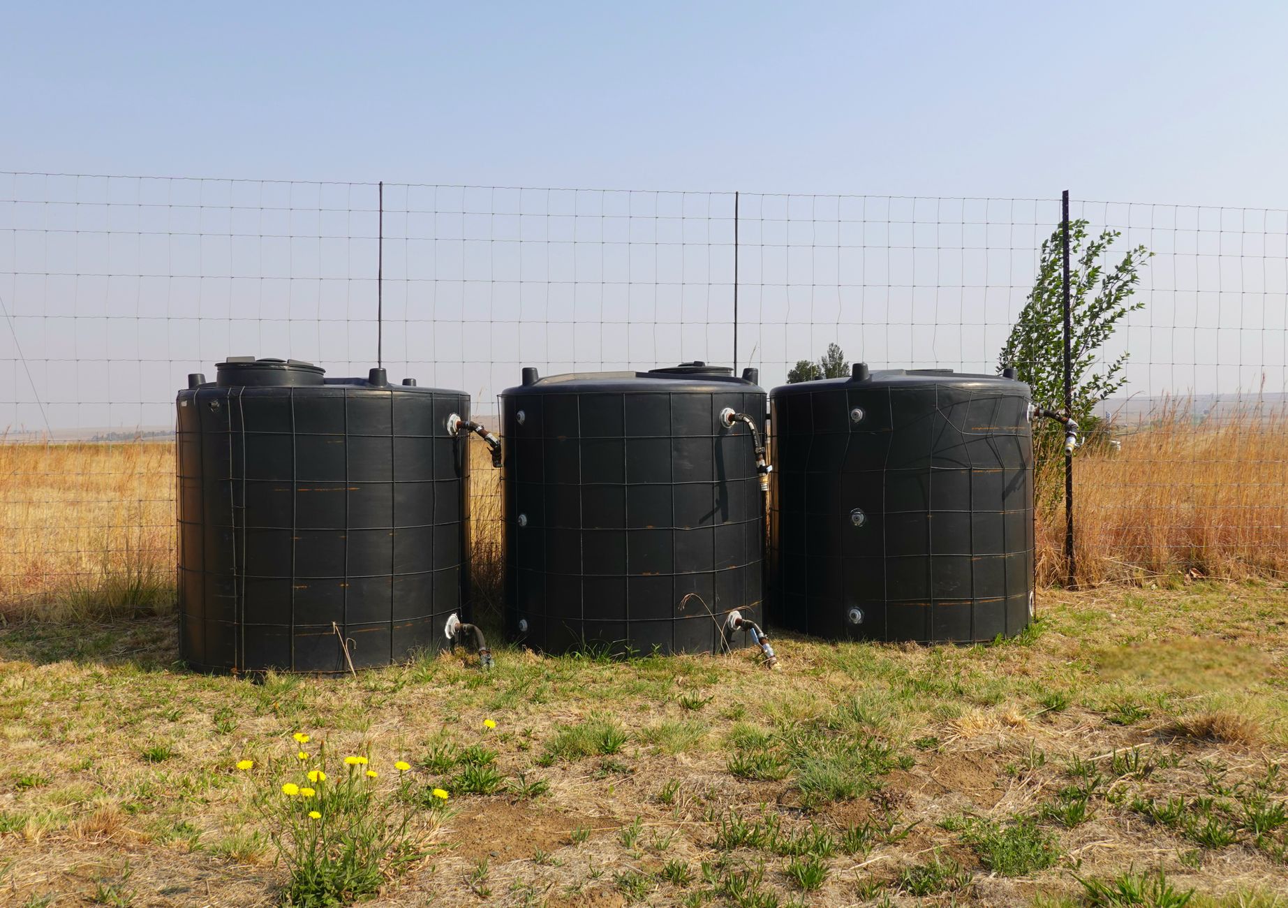 Three black water tanks in a dry, grassy field with a wire fence.