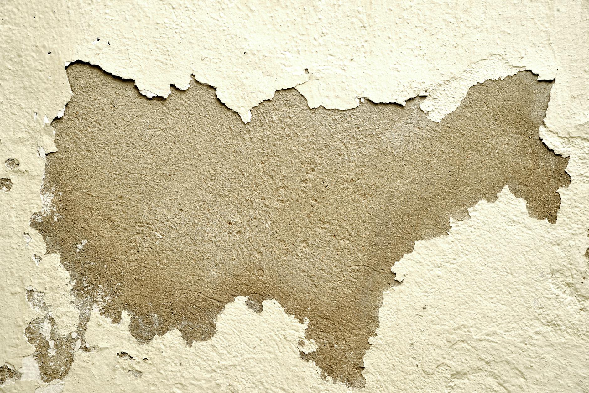 Close-up of a wall with peeling paint revealing the rough texture underneath.