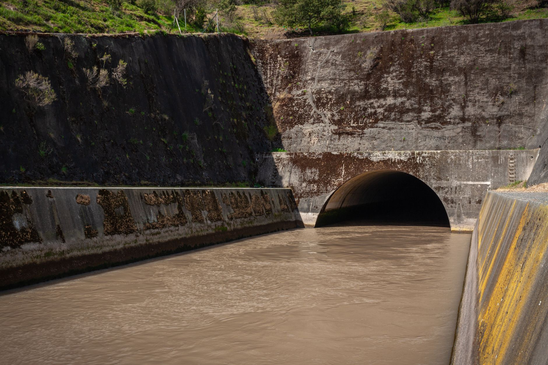A large concrete storm drain with murky water flowing into a tunnel, surrounded by mossy walls.