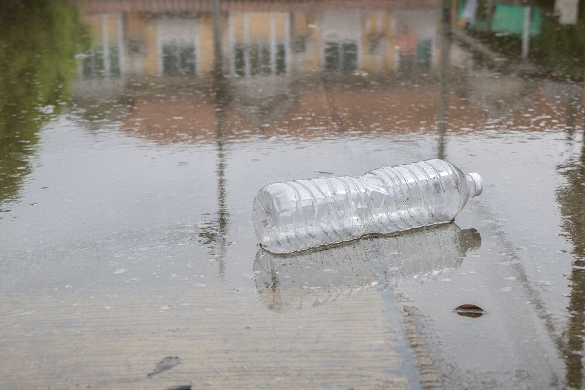 Discarded plastic bottle lying on wet pavement in the rain, reflecting environmental issues.