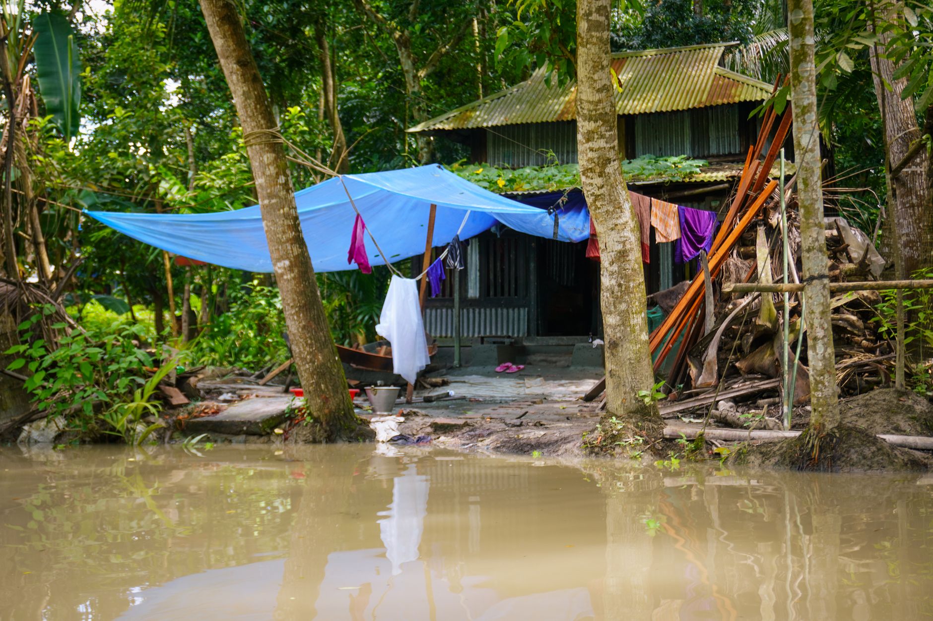 A rural flooding scene showing a makeshift shelter covered by blue tarpaulin amidst lush greenery.