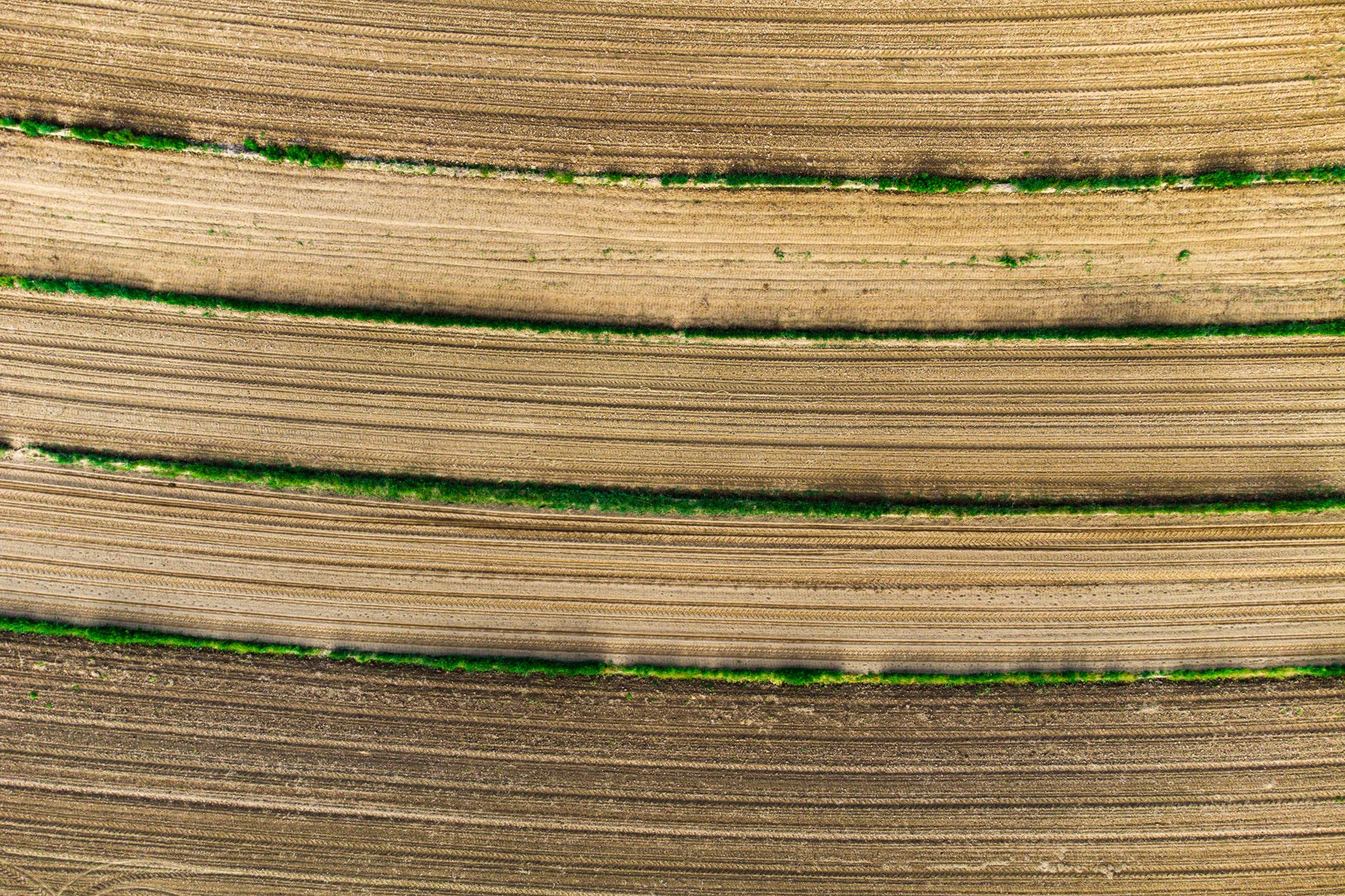 Aerial photograph showcasing parallel grooves and green strips in Croatian agricultural fields.