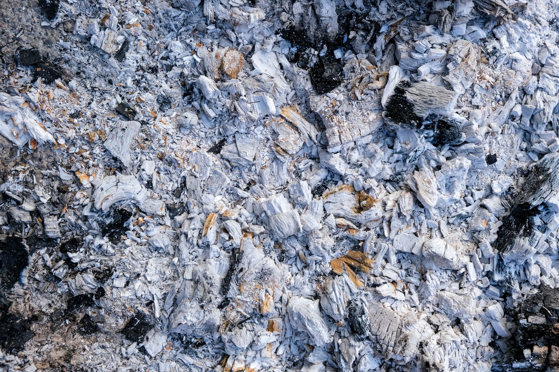 Close-up photo of ash and charred wood showing texture details.