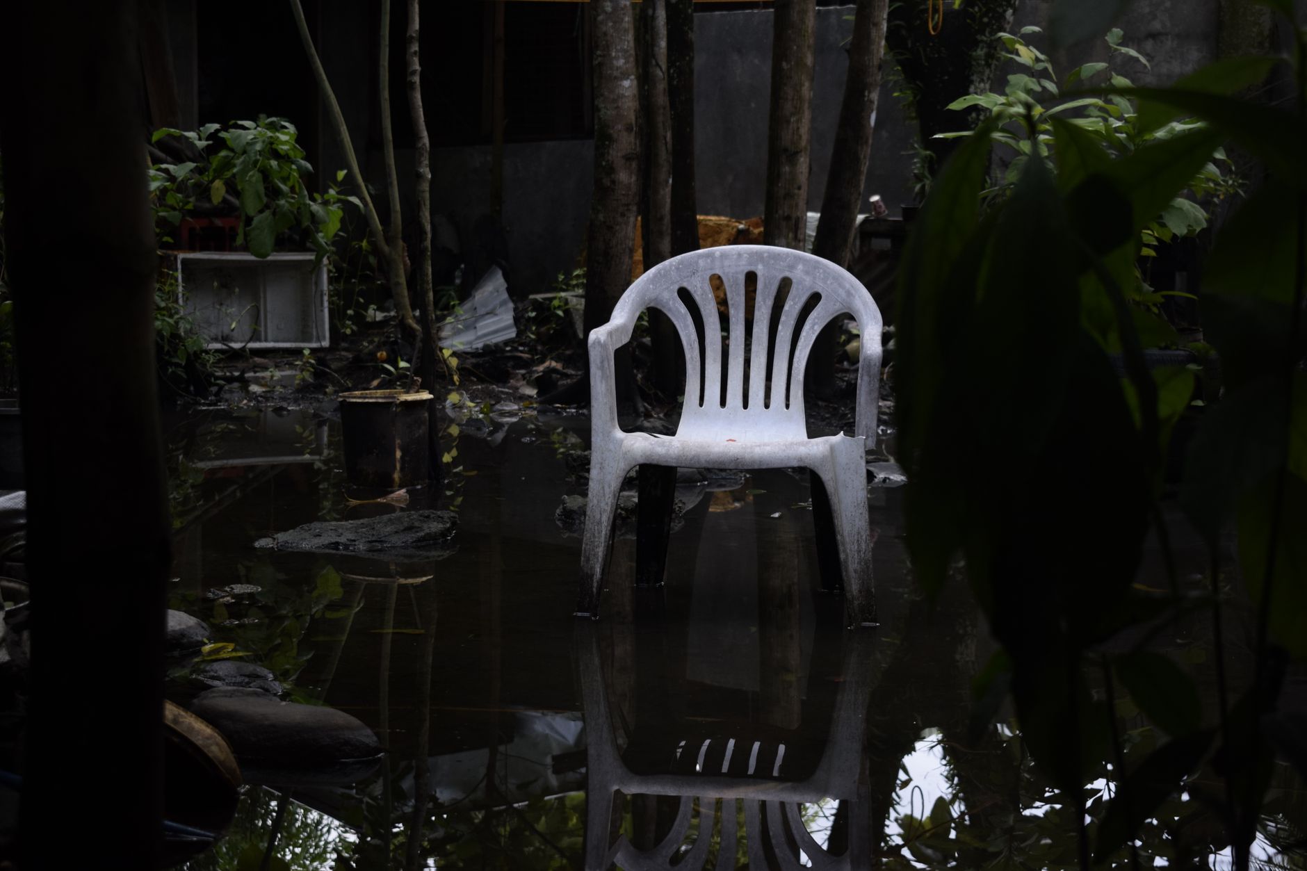 A white plastic chair reflecting in a waterlogged garden, surrounded by plants.