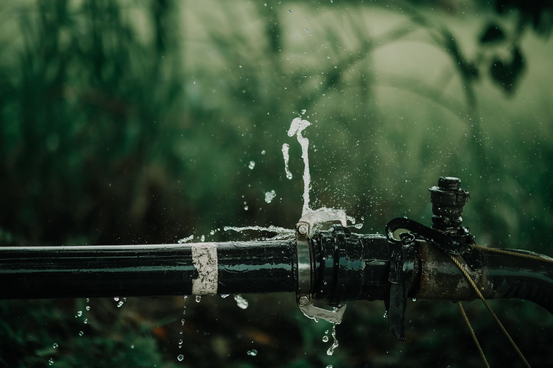 A detailed view of a leaking water pipe in a lush green garden setting.