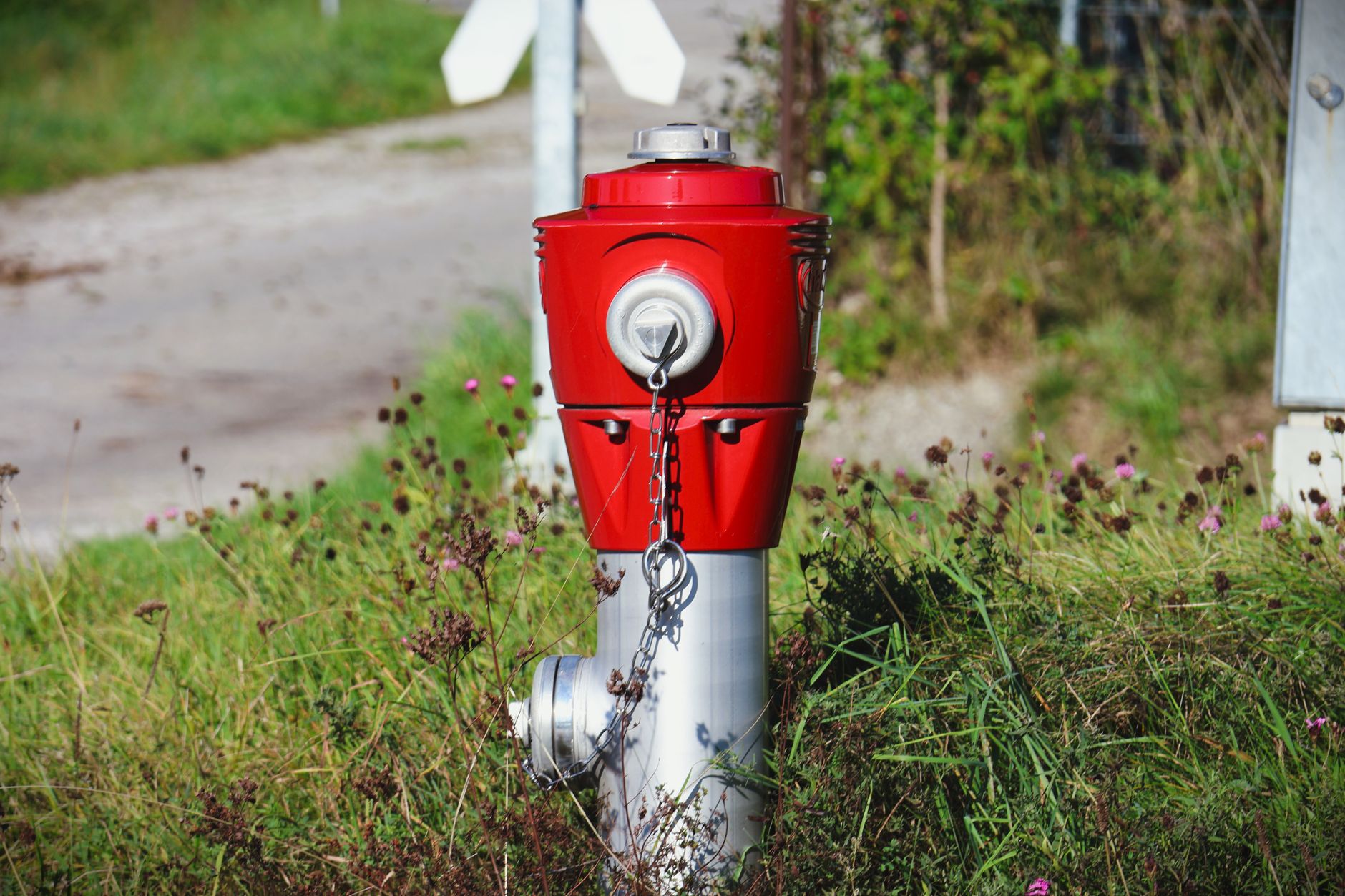 Close-up of a red fire hydrant surrounded by green grass in a sunny outdoor setting.