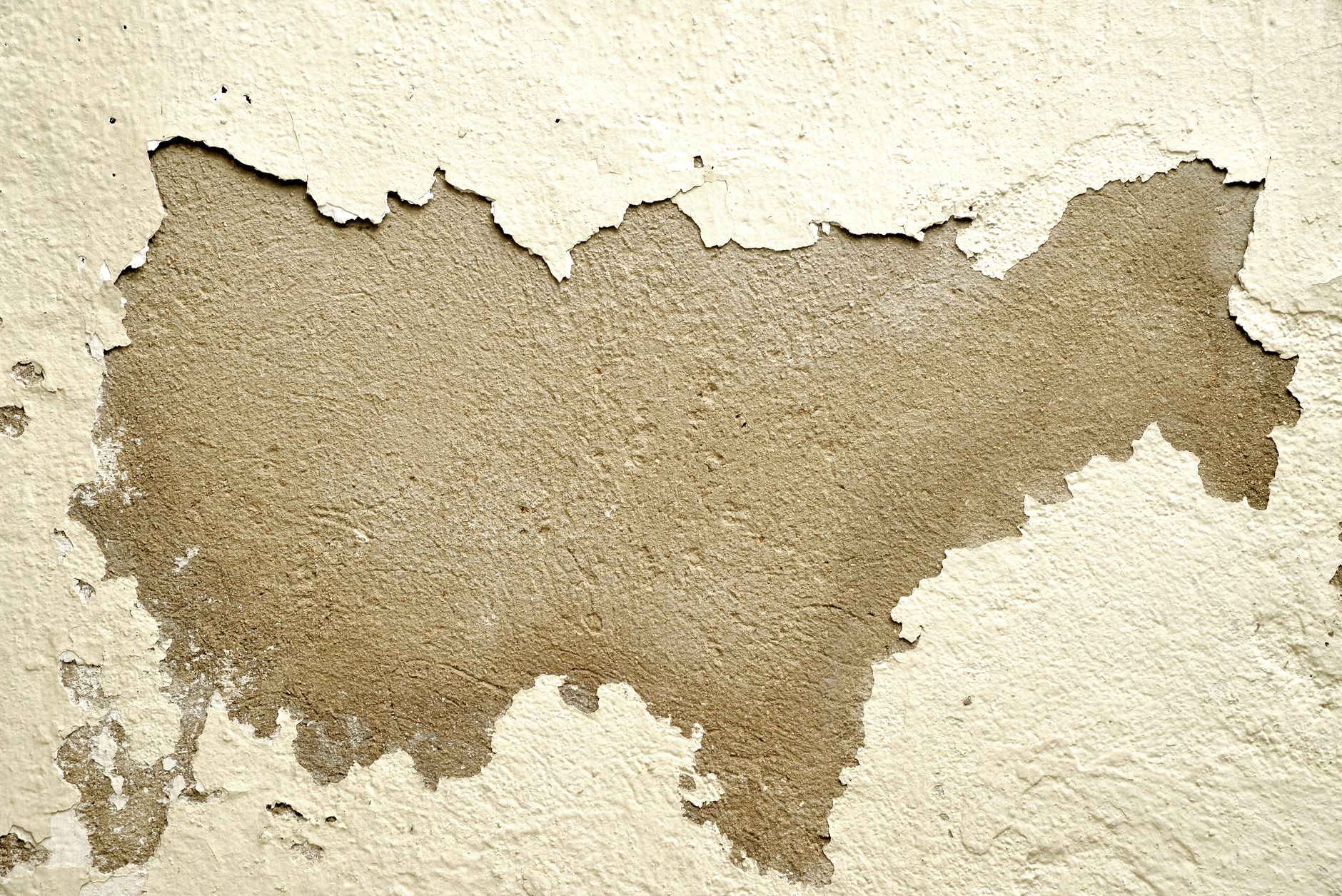 Close-up of a wall with peeling paint revealing the rough texture underneath.