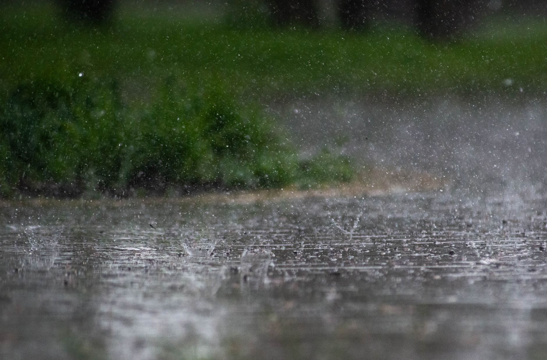 Close-up of heavy rainfall splattering on outdoor pavement with green foliage in the background.