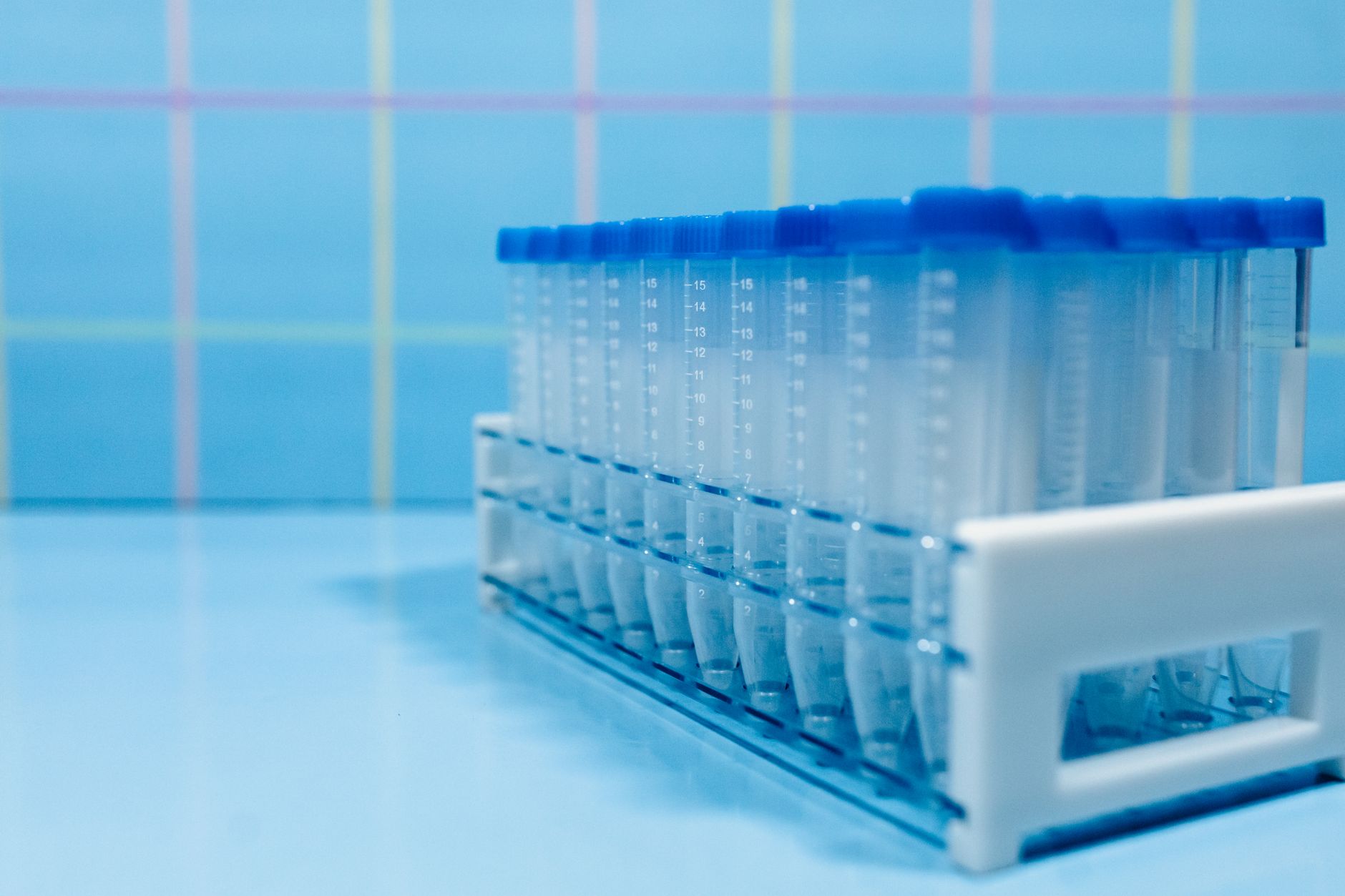 Laboratory test tubes in a plastic rack on a reflective blue surface.