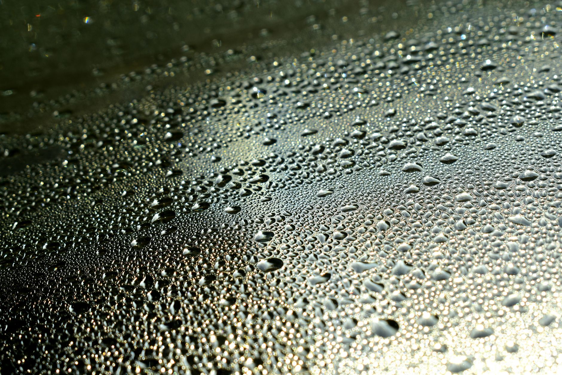 Macro shot of dew droplets forming intricate patterns on a surface, highlighting texture and liquidity.