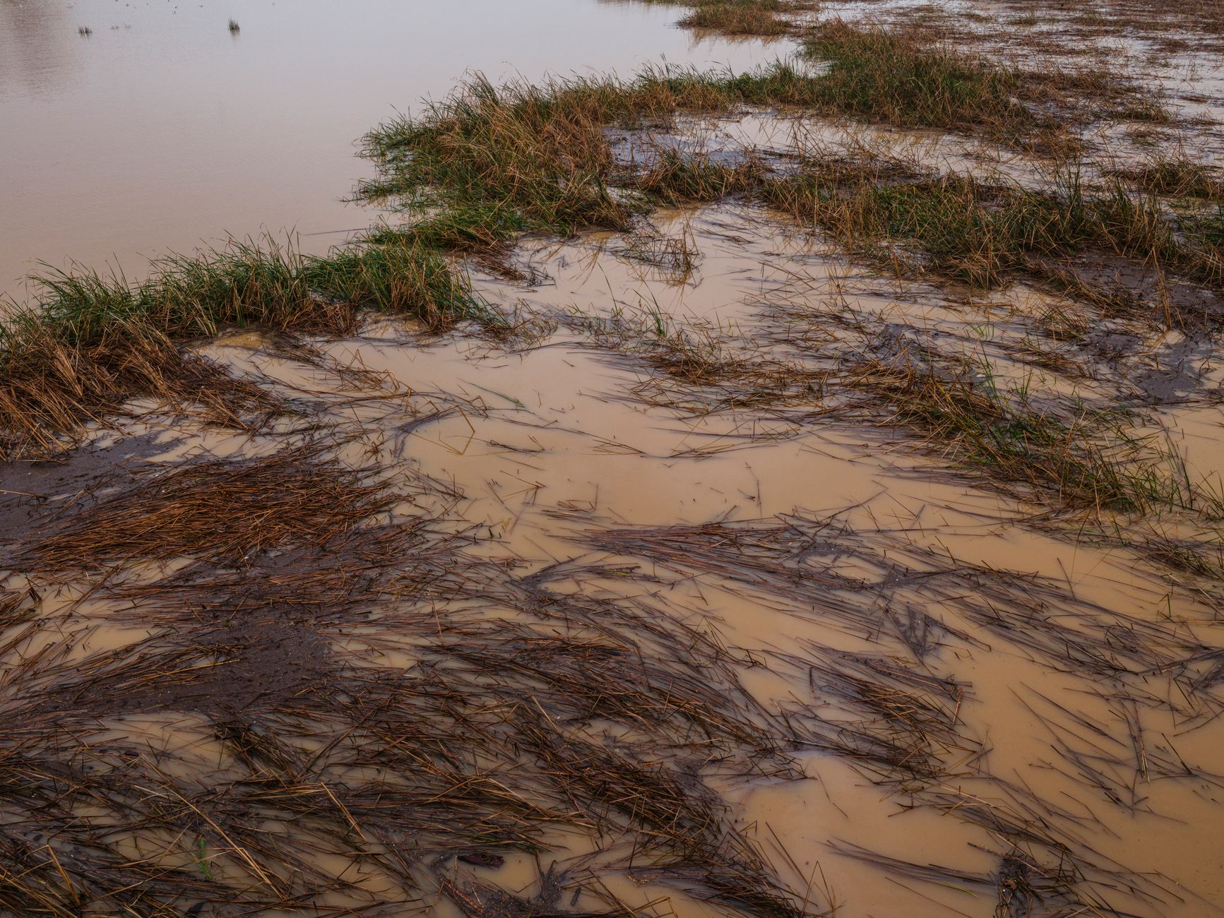 A flooded field with muddy water and grass, showcasing the aftermath of heavy rainfall and erosion.