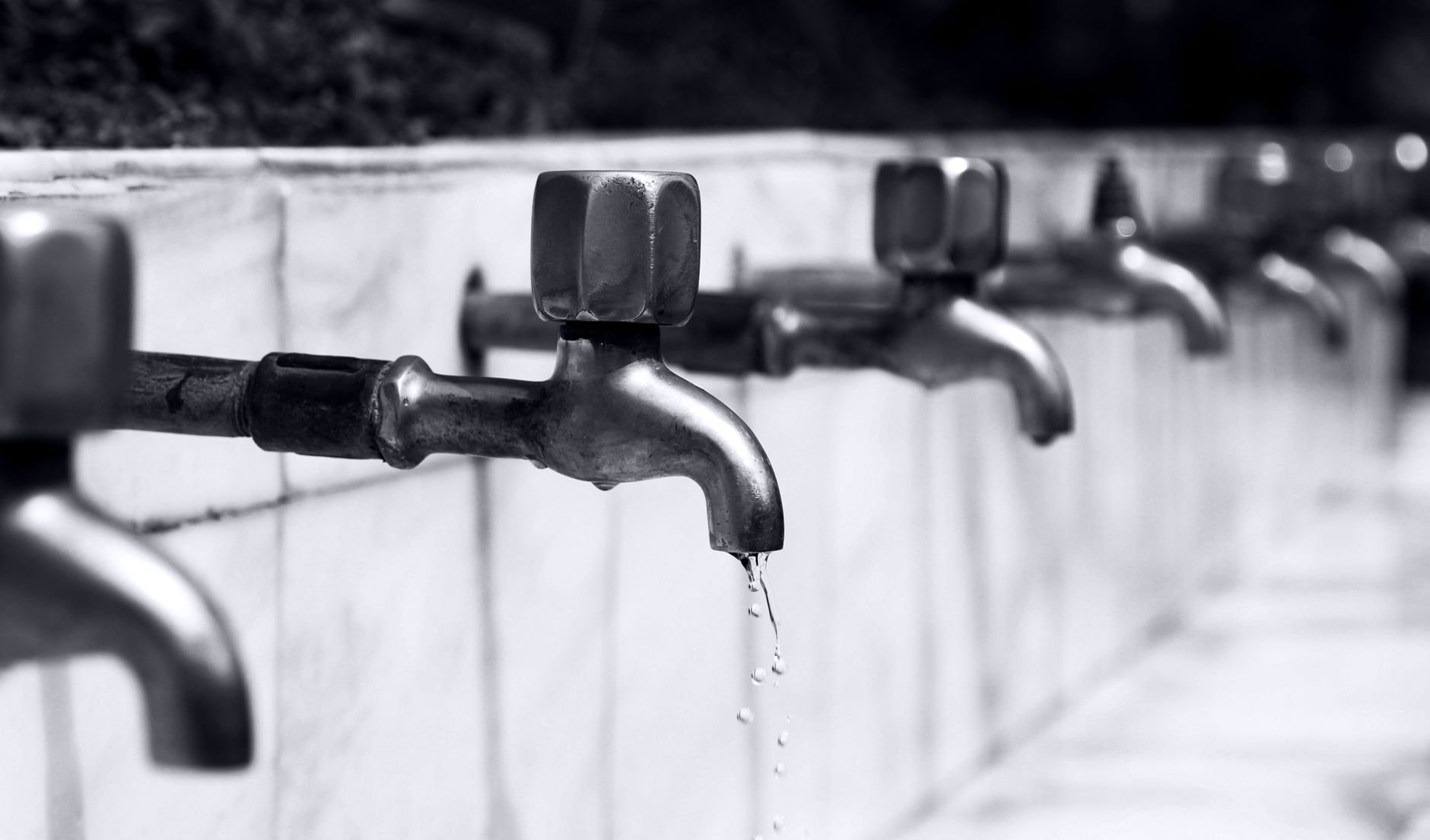 Black and white image of a row of faucets with water dripping, highlighting plumbing details.
