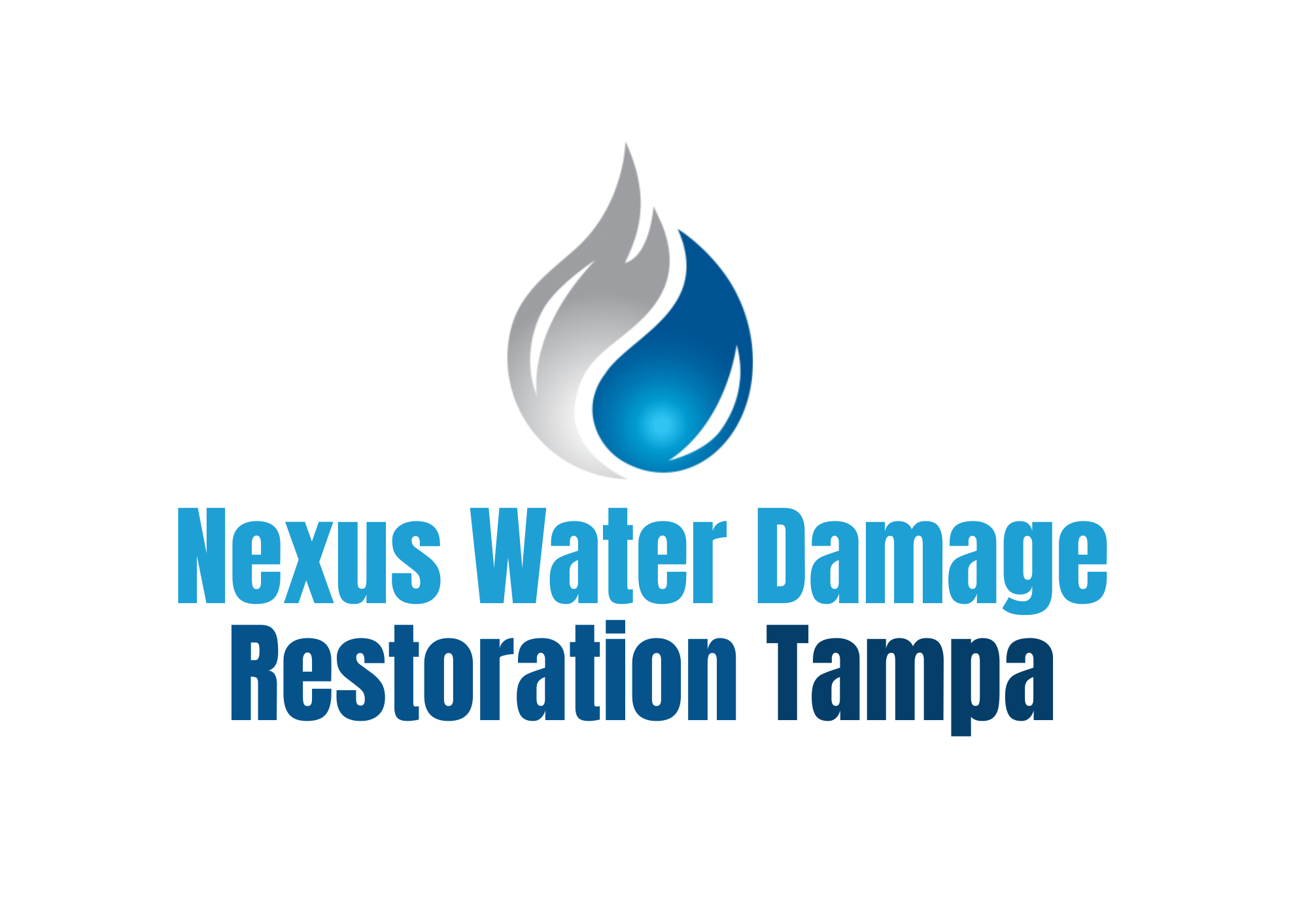 Nexus Water Damage Restoration logo